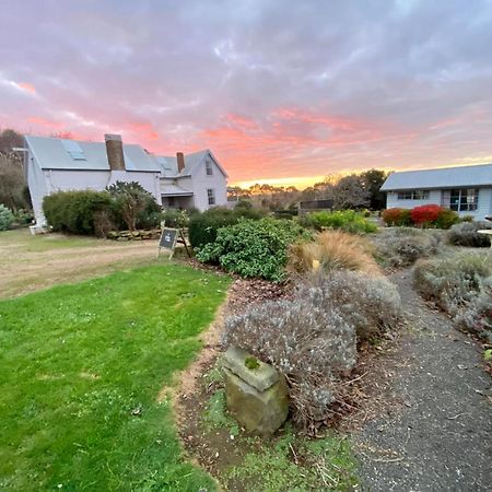 Robin Hoods Well Farm Stay Sassafras Esterno foto
