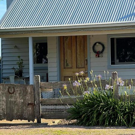 Robin Hoods Well Farm Stay Sassafras Esterno foto