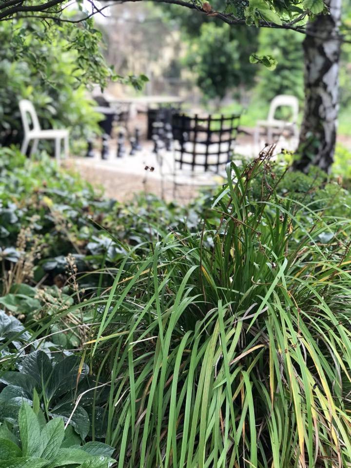 Robin Hoods Well Farm Stay Sassafras Esterno foto