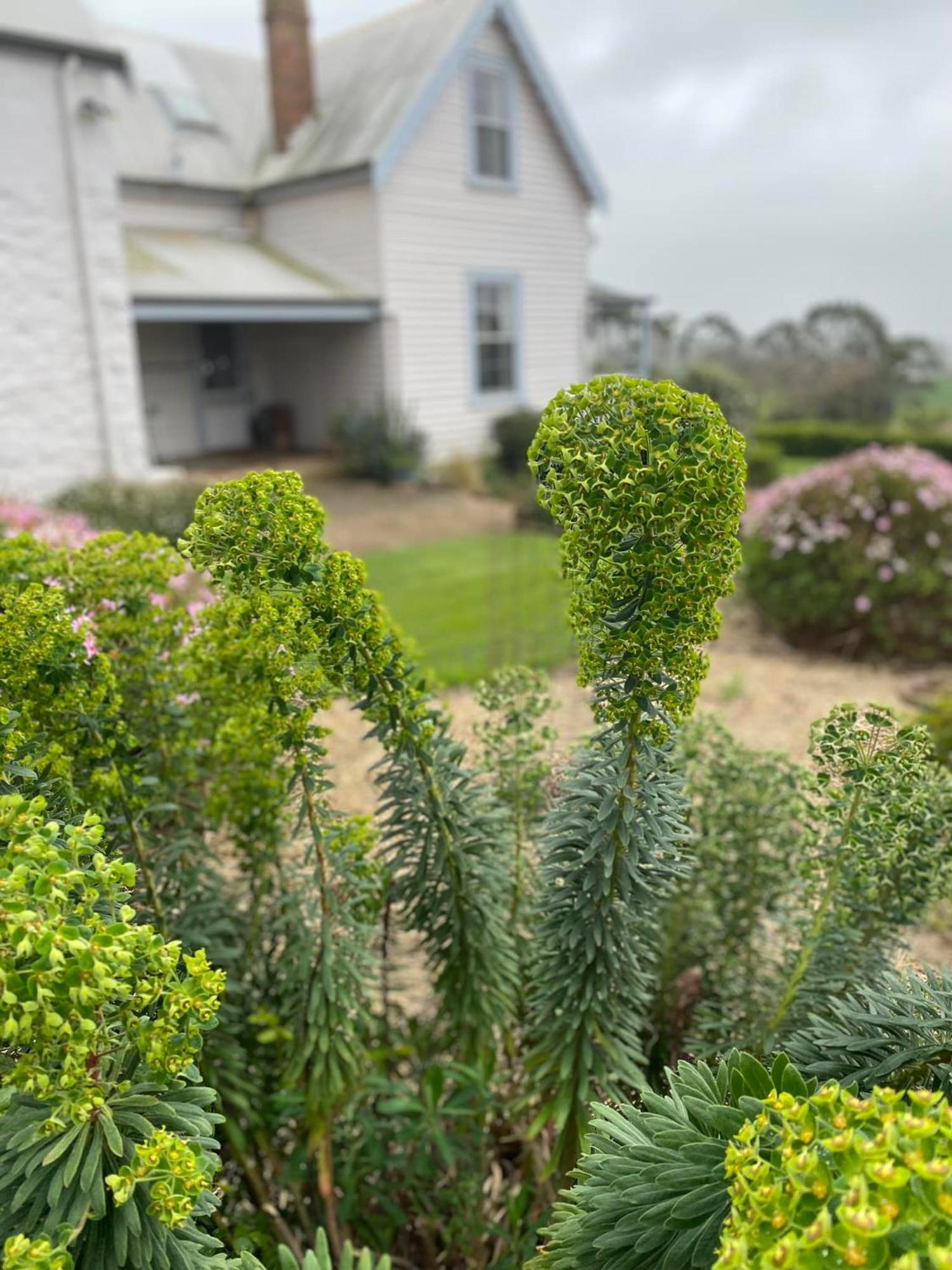Robin Hoods Well Farm Stay Sassafras Esterno foto