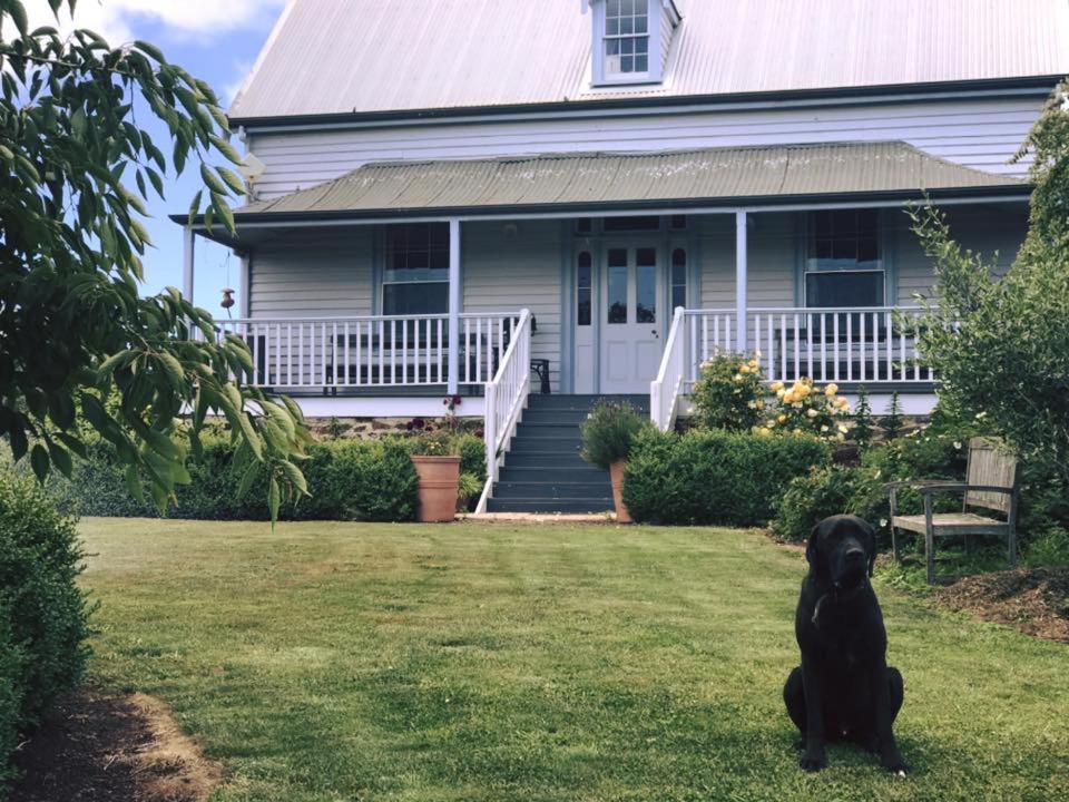 Robin Hoods Well Farm Stay Sassafras Esterno foto