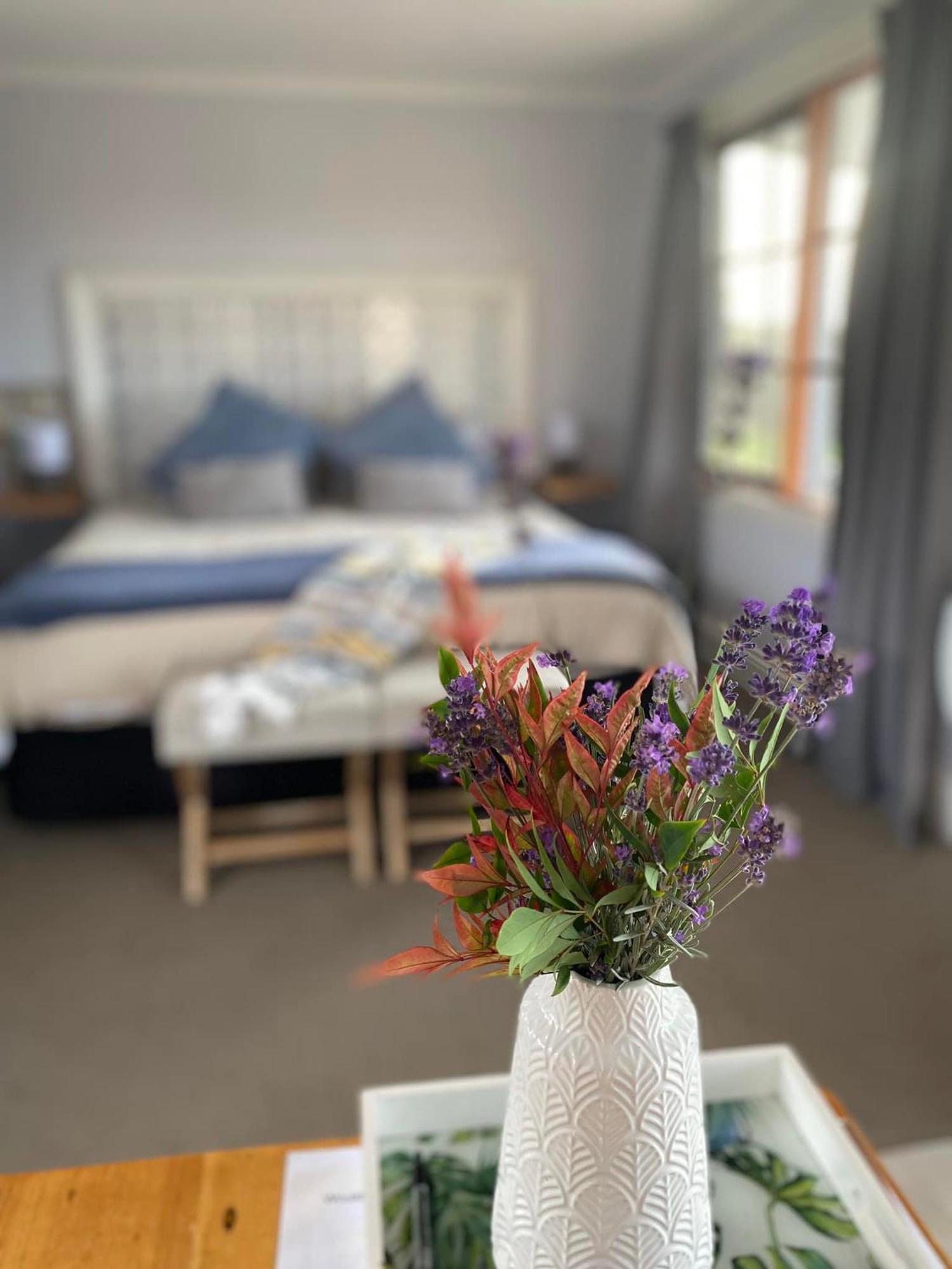 Robin Hoods Well Farm Stay Sassafras Esterno foto